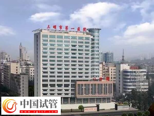 三明第一醫(yī)院生殖科黃新琳醫(yī)生助孕技術(shù)怎么樣？(圖1)