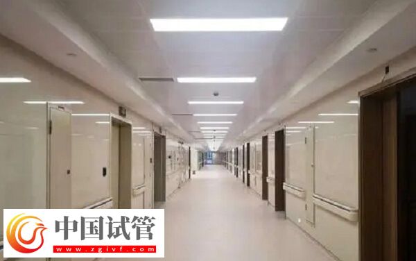 龍巖一院和二院哪個做人工受精好，成功率高？(圖1)