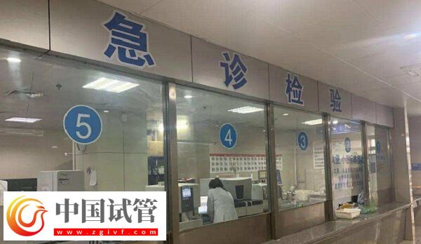 宿州做試管嬰兒選煤電總醫(yī)院和市第一人民醫(yī)院哪個好？(圖1)