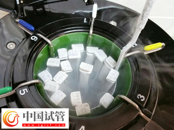 胚胎質(zhì)量不良會怎么樣(圖2)