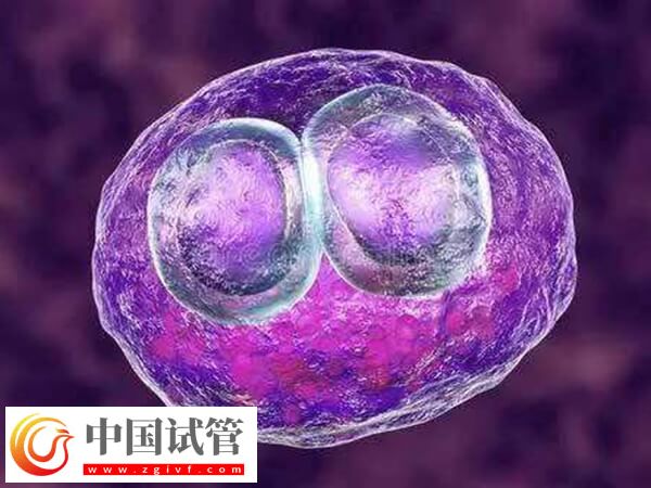 試管移植反復(fù)不著床需要查什么(圖2)