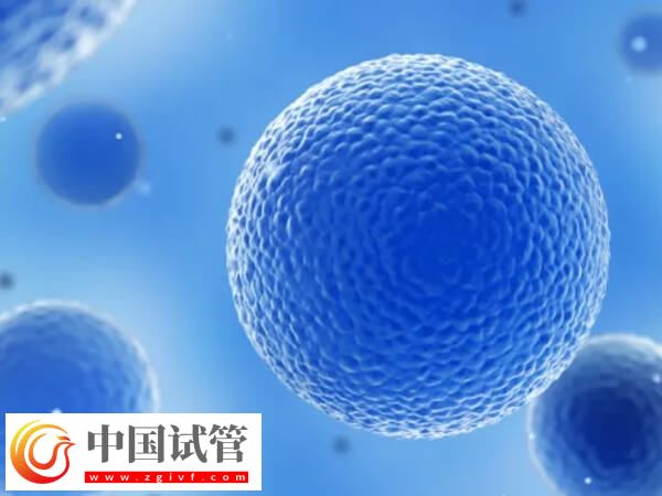 吉林市中心醫(yī)院試管嬰兒單個胚胎移植成功率怎么樣？(圖1)