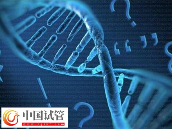 白山有沒(méi)有能做無(wú)創(chuàng)親子鑒定的醫(yī)院？(圖1)
