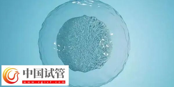 延吉市中醫(yī)醫(yī)院供精試管嬰兒成功率怎么樣？(圖1)