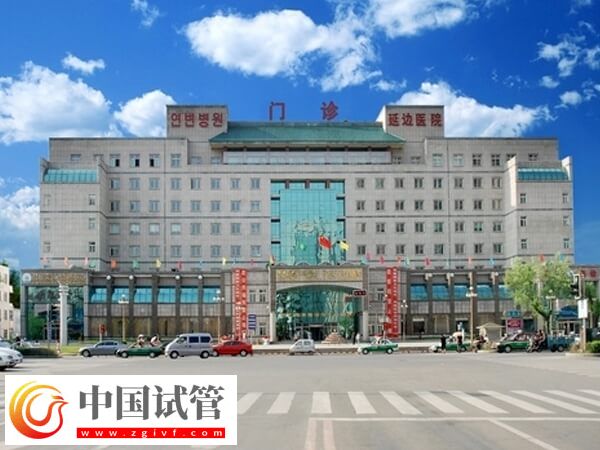 延邊醫(yī)院做一次二代試管嬰兒助孕要準(zhǔn)備多少錢？(圖1)