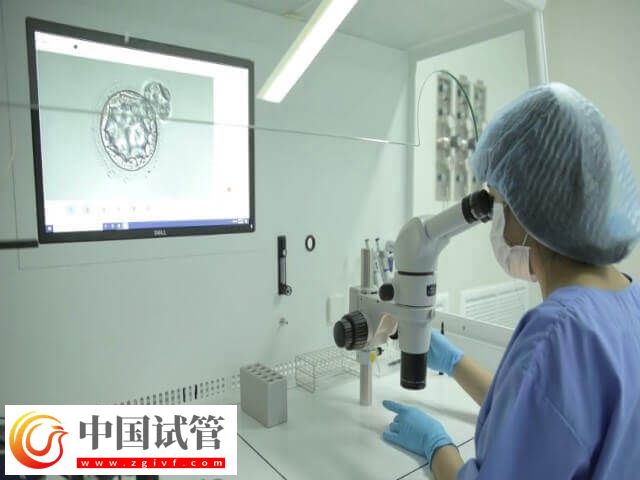 試管移植優(yōu)胚為什么會(huì)出現(xiàn)空囊(圖1)