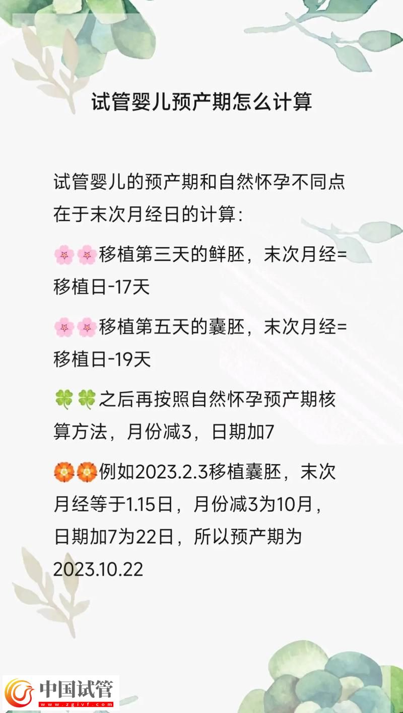 試管嬰兒的孕期計(jì)算方法(圖1)