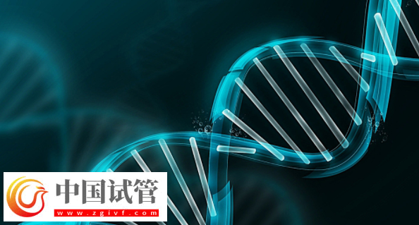 做三代試管嬰兒生子要多少錢？三代試管費(fèi)用高不高(圖1)