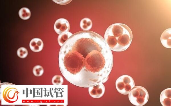 為什么打了促排針卵泡還長(zhǎng)這么慢(圖2)