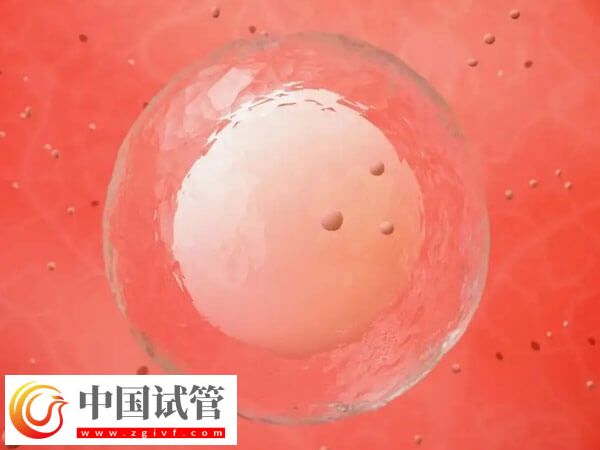 如何保證冷凍后的卵子質(zhì)量(圖2)