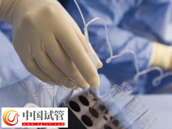 如何保證冷凍后的卵子質(zhì)量(圖1)