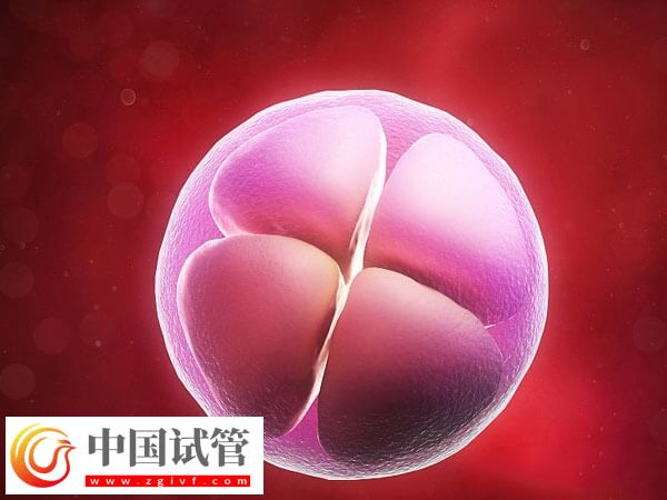 導(dǎo)致胚胎移植失敗的因素是什么(圖2)