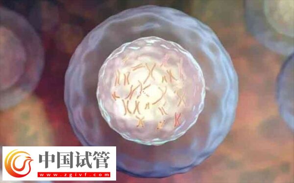 做二代試管為什么老配成c級(jí)胚胎(圖2)