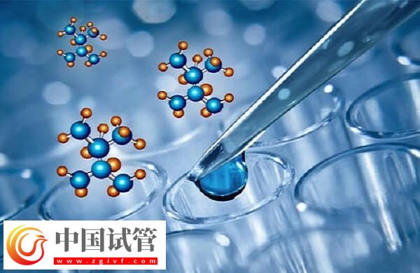 廣州能生男孩的試管醫(yī)院有哪些(圖1)