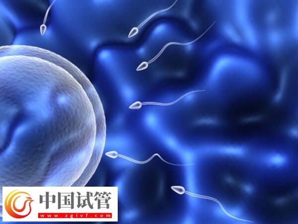 一代試管生男孩的經(jīng)驗(yàn)是什么(圖1)