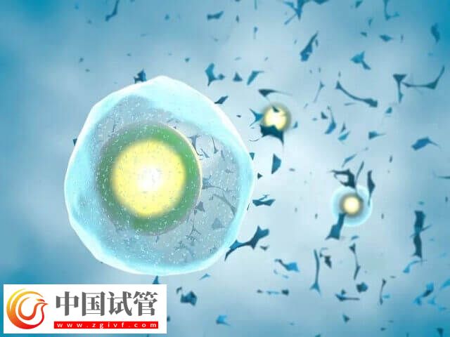 試管不成功可不可以退錢 試管嬰兒費(fèi)用(圖1)