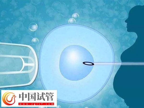 年齡大五個(gè)卵泡做幾代試管(圖2)