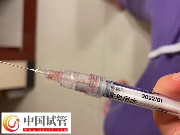 打思則凱會不會降低卵子質(zhì)量(圖2)