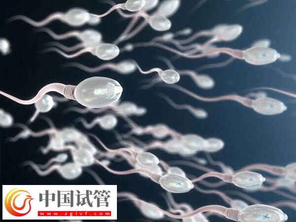 艾滋病洗精費(fèi)用是多少(圖1)