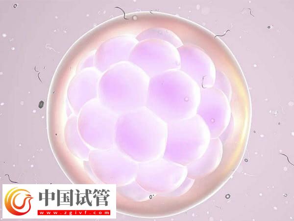 醫(yī)院會不會自動把胚胎作廢(圖1)