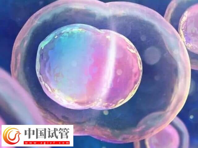 山大生殖高芹跟盛燕試管技術(shù)對比(圖1)