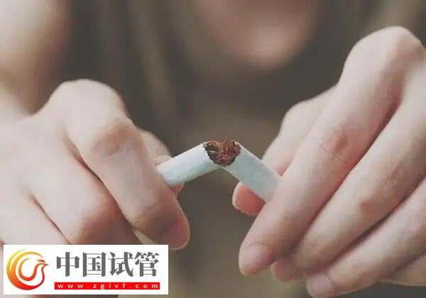 做試管是不是可以提高卵子質(zhì)量(圖2)
