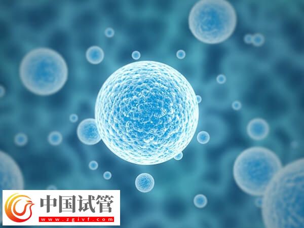 30歲基礎(chǔ)卵泡幾個正常(圖1)