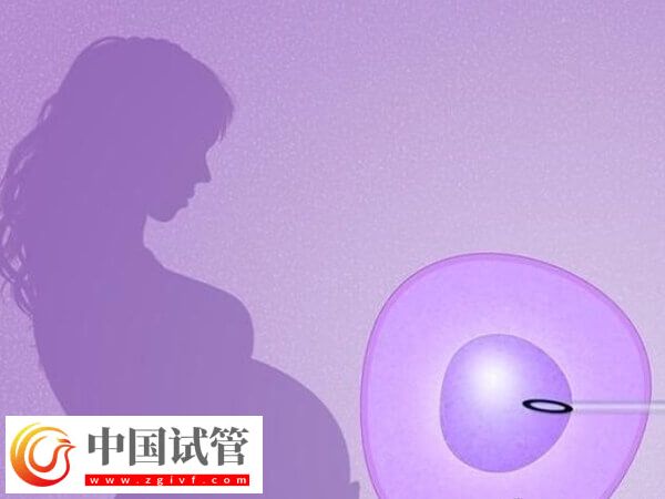 拉拉做試管嬰兒前要做好什么準(zhǔn)備(圖1)