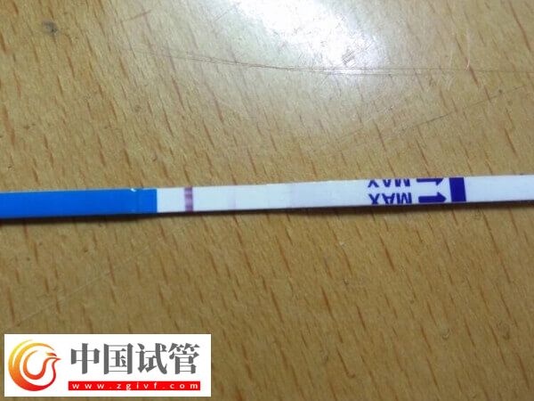 鮮胚移植十天后沒(méi)測(cè)出有沒(méi)有希望(圖3)