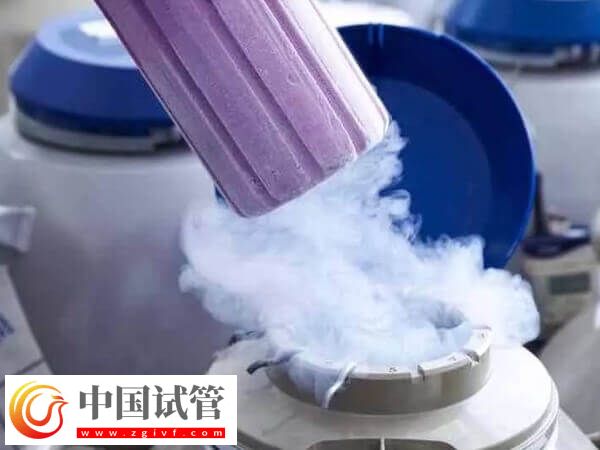 國(guó)內(nèi)為什么禁止單身女性凍卵(圖2)