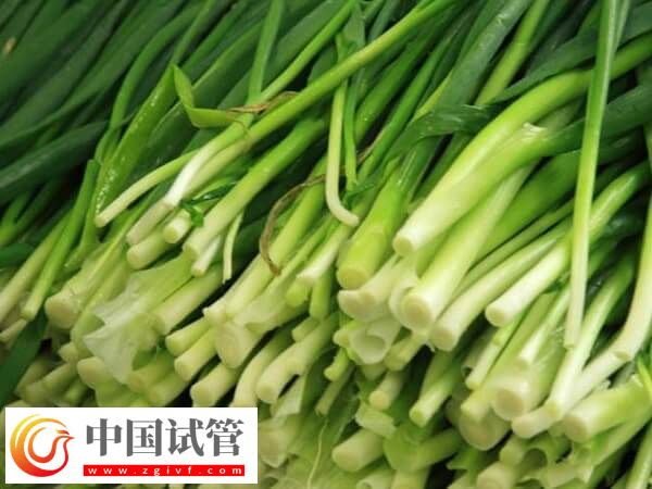 為什么鮮胚移植后不建議吃韭菜？(圖1)