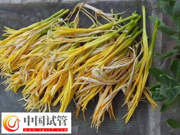 試管移植后吃干黃花菜對(duì)身體好不好(圖1)