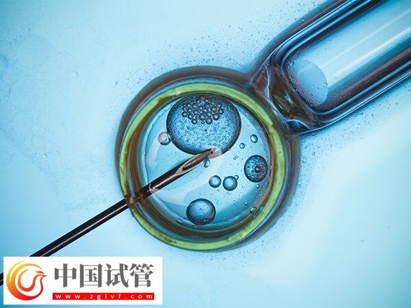 取卵后精卵不結(jié)合該怎么辦(圖1)