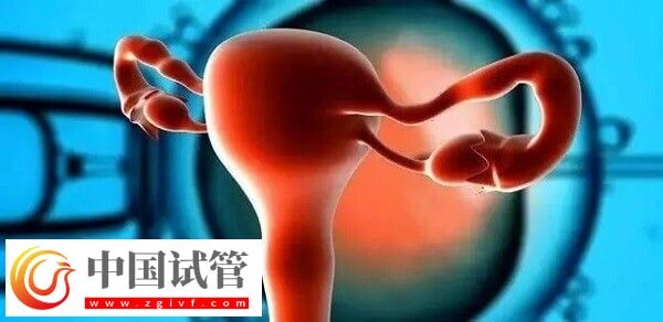 達菲林降調(diào)成功卵泡是多大(圖3)