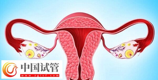 達菲林降調(diào)成功卵泡是多大(圖4)