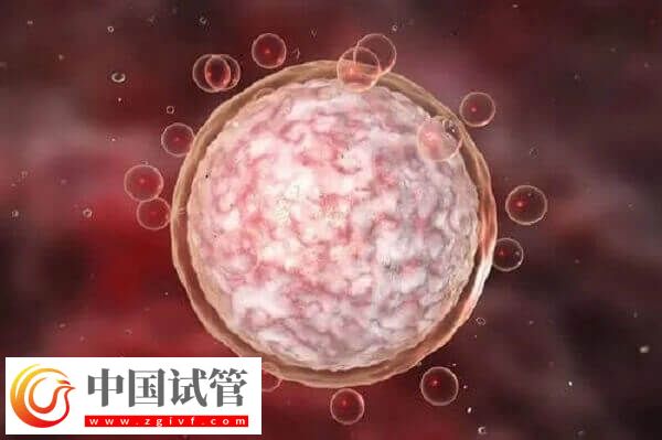達菲林降調(diào)成功卵泡是多大(圖2)