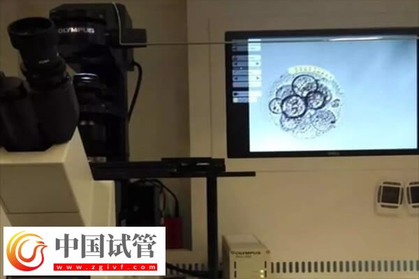 養(yǎng)囊失敗的三大原因是哪些(圖1) 養(yǎng)囊失敗的三大原因是哪些(圖1)