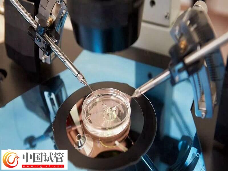 人工授精跟試管嬰兒有什么區(qū)別(圖2) 人工授精跟試管嬰兒有什么區(qū)別(圖2)