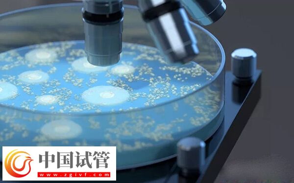 為什么人工周期成功率高(圖1) 為什么人工周期成功率高(圖1)