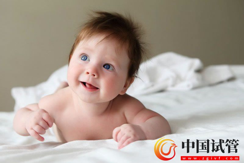 拮抗劑是什么方案,選擇用這個(gè)方案的好不好(圖1)